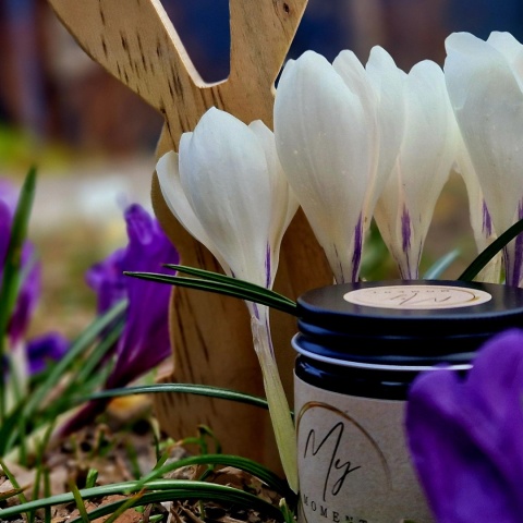 Świeca sojowa Mojito 120 ml