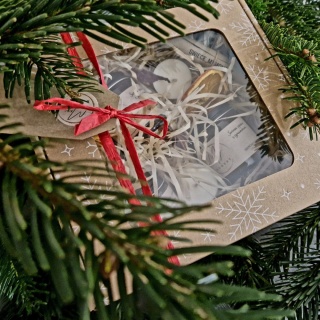 Świece sojowe zestaw świąteczny 120 ml + 120 ml + 60 ml